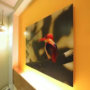 Hotel Kk, Kota Kinabalu